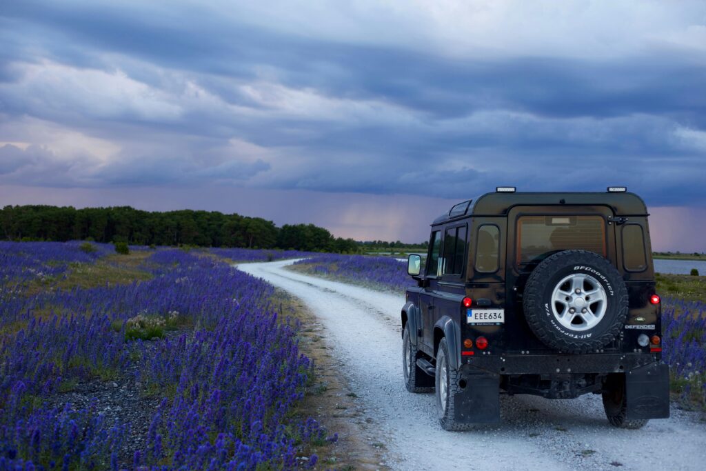 pexels-viktorlundberg-754595-1024x683 Ultimate Checklist: What You NEED to Know Before Buying a Car in Mombasa